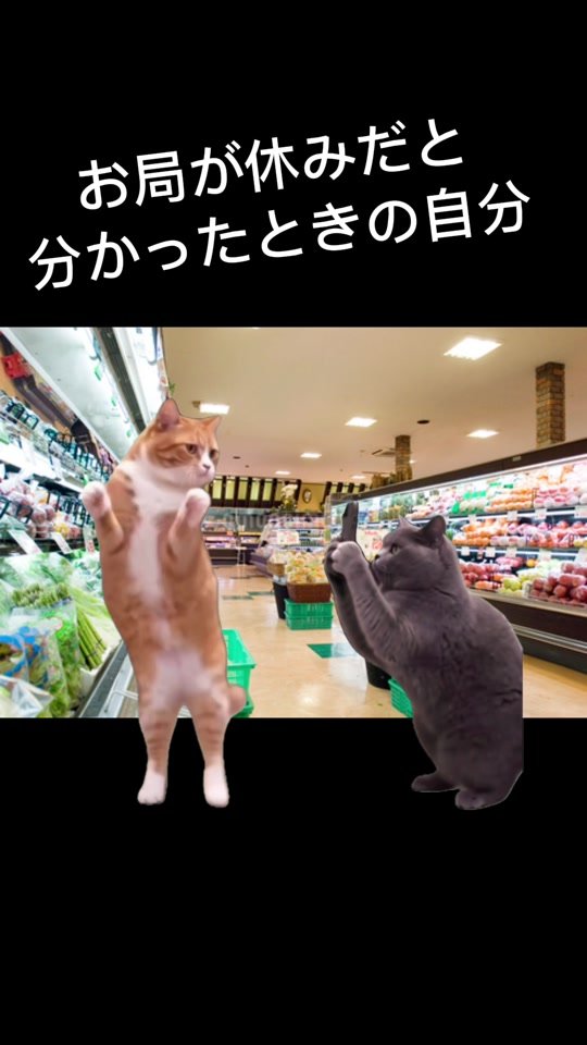 控えめに言ってサイコー笑 #仕事  #スーパー #お局  #猫