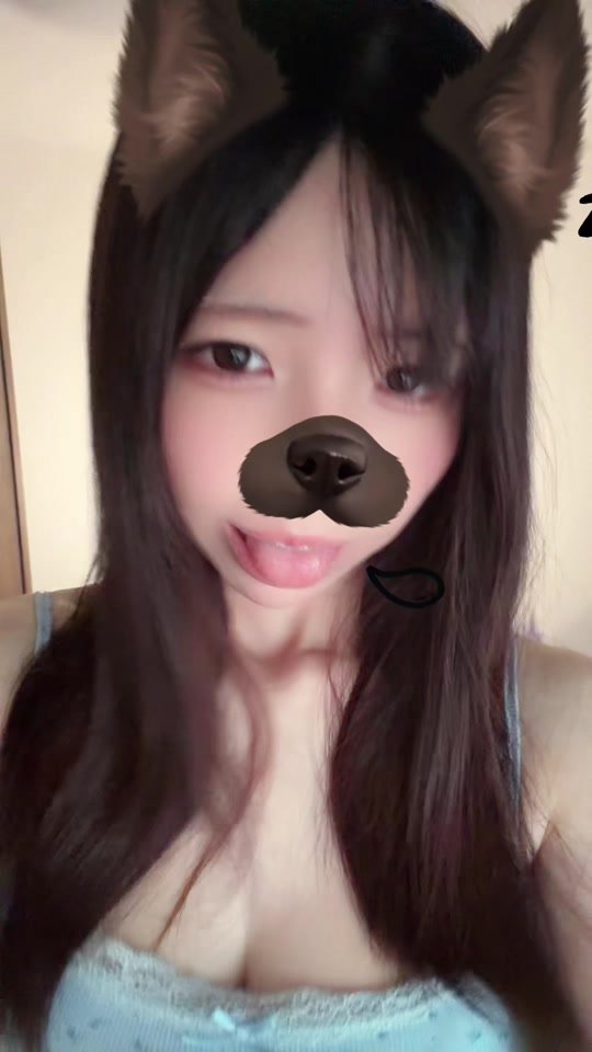 たまにはこういうのもいいよね🐶 #fyp #おすすめ #おすすめにのりたい