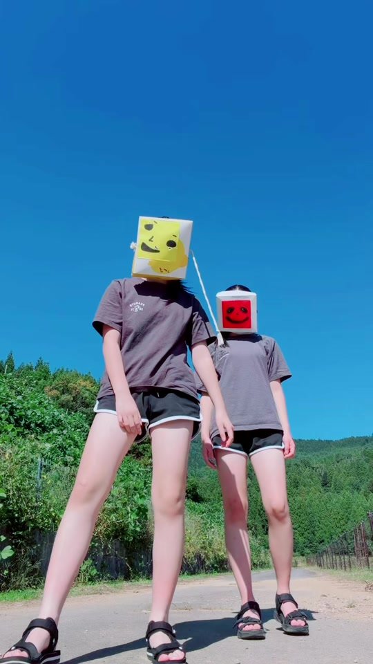 イッツシュール#踊ってみた