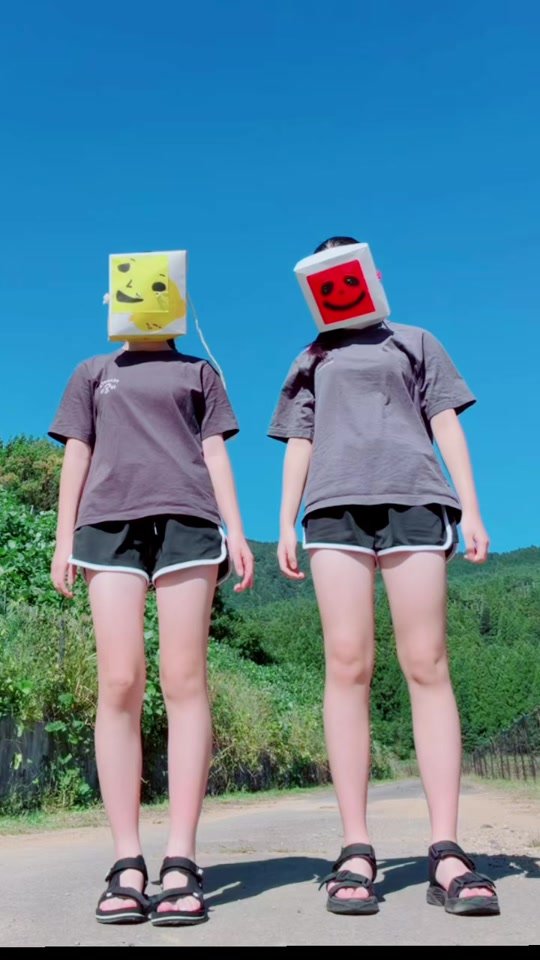 合わなかった#踊ってみた